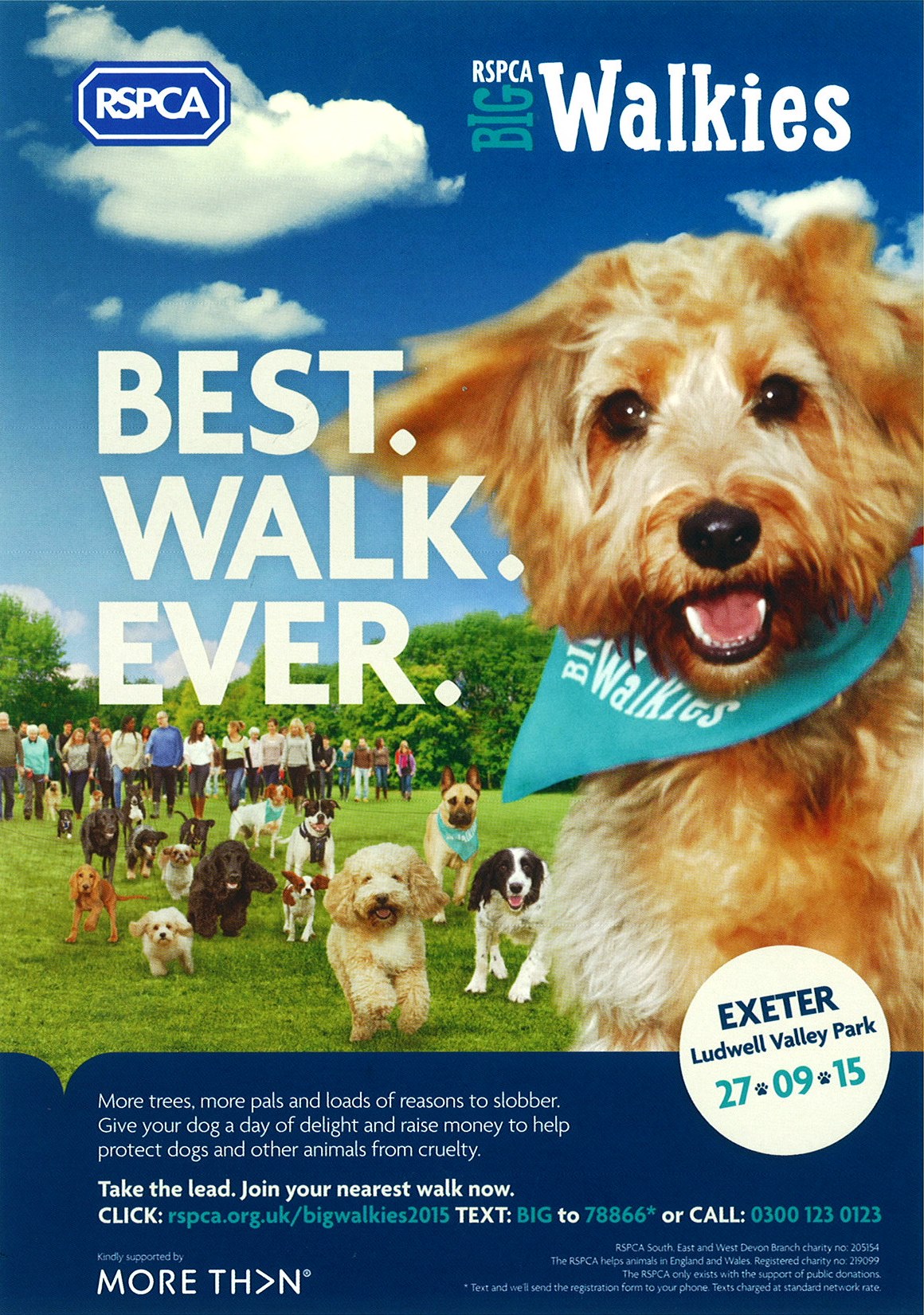 RSPCA Big Walkies Best Dog Walk Ever! The Exeter Daily